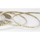 ILUTREK - Tira LED Ivrea rollo 5m 48W 2835SMD 140leds/m IP20 5mm PCB 3000K