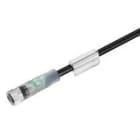 WEIDMULLER - Cable SAIL-M8BG-3L1.5U