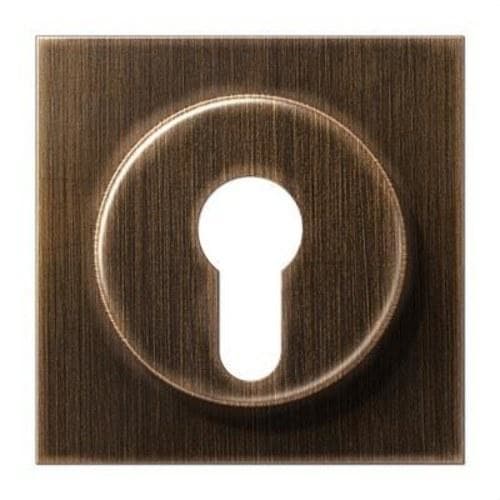 JUNG - Placa para mecanismo llave latón antik