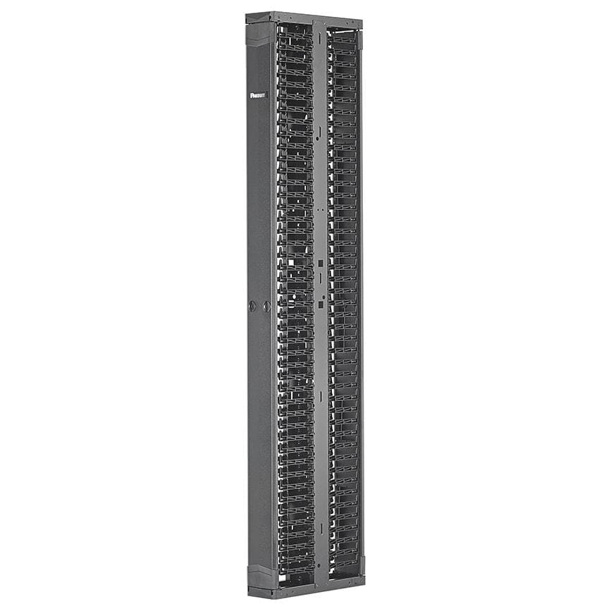 PANDUIT - PR2V VERTICAL DUAL SIDED MANAGER, 42RU, 6 IN. WIDE