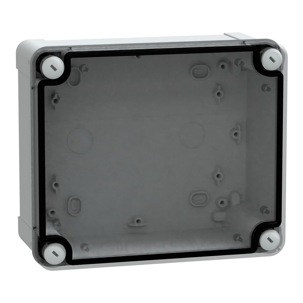 Schneider Electric - CAJA INDUSTRIAL POLICARBONATO 193x164x87 TAPA TRANSPARENTE