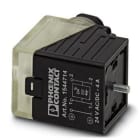 PHOENIX CONTACT - Conector de válvula SACC-V-3CON-M16/A-1L-S