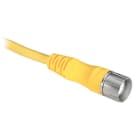 ROCKWELL - SISTEMA DE CONEXIÓN TIPO M23 CONJUNTO CABLE 889M-R19RM-5