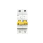 ABB - Interruptor magnetotérmico DG62+ Curva-C 25A 2P