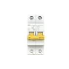 ABB - Interruptor magnetotérmico DG62+ Curva-C 40A 2P