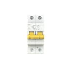ABB - Interruptor magnetotérmico DG61N+ Curva-C 25A 1P+N