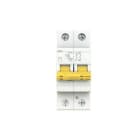 ABB - Interruptor magnetotérmico DG61N+ Curva-C 40A 1P+N