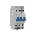ROCKWELL - DISYUNTOR TRIPOLAR 1489-M 20A CURVA-C