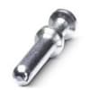 Uña del pulgar Imagen del producto 1