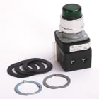 ROCKWELL - BOTÓN PULS.ILUMINADO 800T-QBH2GD1 30MM