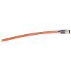 Uña del pulgar Imagen del producto 1