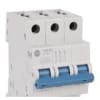 Uña del pulgar Imagen del producto 1