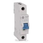 ROCKWELL - MCB SUPPLEMENTARY PROTECTOR 1 A