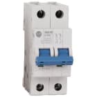 ROCKWELL - MCB SUPPLEMENTARY PROTECTOR 6 A