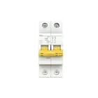 ABB - Interruptor magnetotérmico DG62+ Curva-C 32A 2P