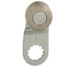 Uña del pulgar Imagen del producto 3