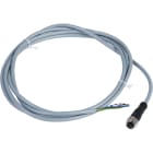 TESE - Precableado conectores xz - hembra recta - m12 - 5 pins - cable pvc 2m ((*))