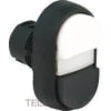 Uña del pulgar Imagen del producto 1