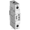 Uña del pulgar Imagen del producto 1