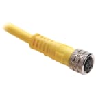 ROCKWELL - CABLE CONECTOR PICO M8 889P-F3UB-10