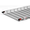 Uña del pulgar Imagen del producto 1