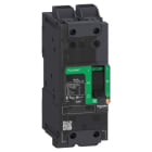 APC by Schneider Electric - Interruptor POWERPACT BD 18kA TM15D 2P Elink