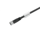 WEIDMULLER - Cable sensor SAIL-M8BG-3S5.0U