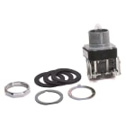 ROCKWELL - LUZ PILOTO 800T-Q24 24V AC/CC