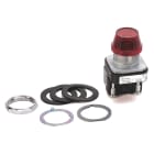 ROCKWELL - LUZ PILOTO 800T-Q24W