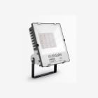 LEDISSON - PROYECTOR AMURA 100W 5500K D.INT.