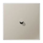 JUNG - PLACA 1X1 PAL. CONO 1912 ACERO