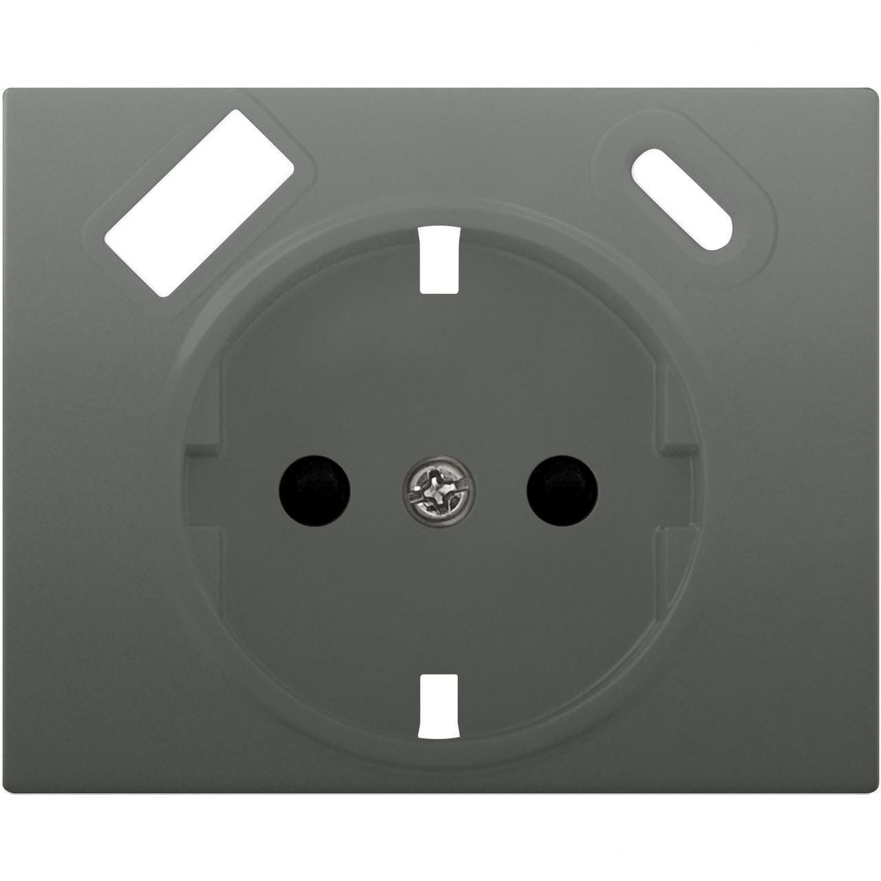 BJC - Tapa schuko IRIS USB AC, acero neptuno