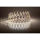 BLUELED - TIRA FLEX.2216 24V 12W 6500K IP67 CRI>93