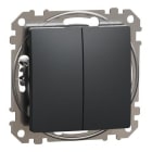Schneider Electric - INTERRUPTOR DOBLE 10AX ANTRACITA