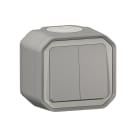 LEGRAND - Conmutador doble Plexo monobloc superficie - 10AX - Gris