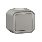 LEGRAND - Conmutador Plexo monobloc de superficie gris - 10AX