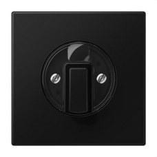 JUNG - PLACA CTRAL.BTN.MDO.LS NG MT