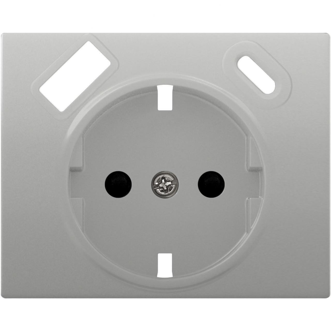 BJC - Tapa schuko IRIS USB AC, aluminio mercurio