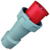Uña del pulgar Imagen del producto 1