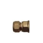 FERRO-PLAST - TERMINAL ROSCA HEMBRA 25X3/4/3,5