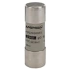 FERRAZ SHAWMUT - 690V CP 22X58 GG 63A S/I FS