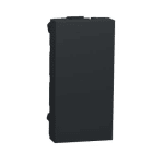 Schneider Electric - Tapa ciega 1 modulo antracita
