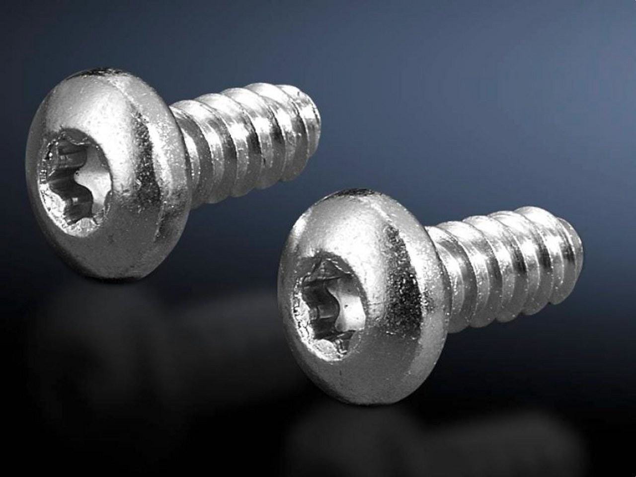 RITTAL - Tornillos de chapa cilíndricos VX Torx 5,5 x 13 (300P)