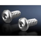 RITTAL - Tornillos de chapa cilíndricos VX Torx 5,5 x 13 (300P)