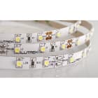 ILUTREK - TIRA LED TOSCANA 5W/M IP20 6K 12V
