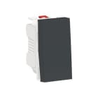 Schneider Electric - Pulsador 1 modulo antracita