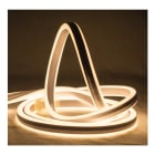 PRILUX - Luminaria decorativa FLEXILIGHT DOUBLE NEON CW 220V rollo 50m