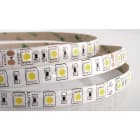 ILUTREK - Tira LED Livorno 14,4W/m IP65 2700K (rollo 5m)