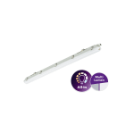 PHILIPS LIGHTING SOLUTIONS - VARIADOR MOTORIZADO II 1000 VA  E/230V S/0-250 V