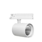NORMALIT - PROYECTOR 30W 3410/940 36º D WH